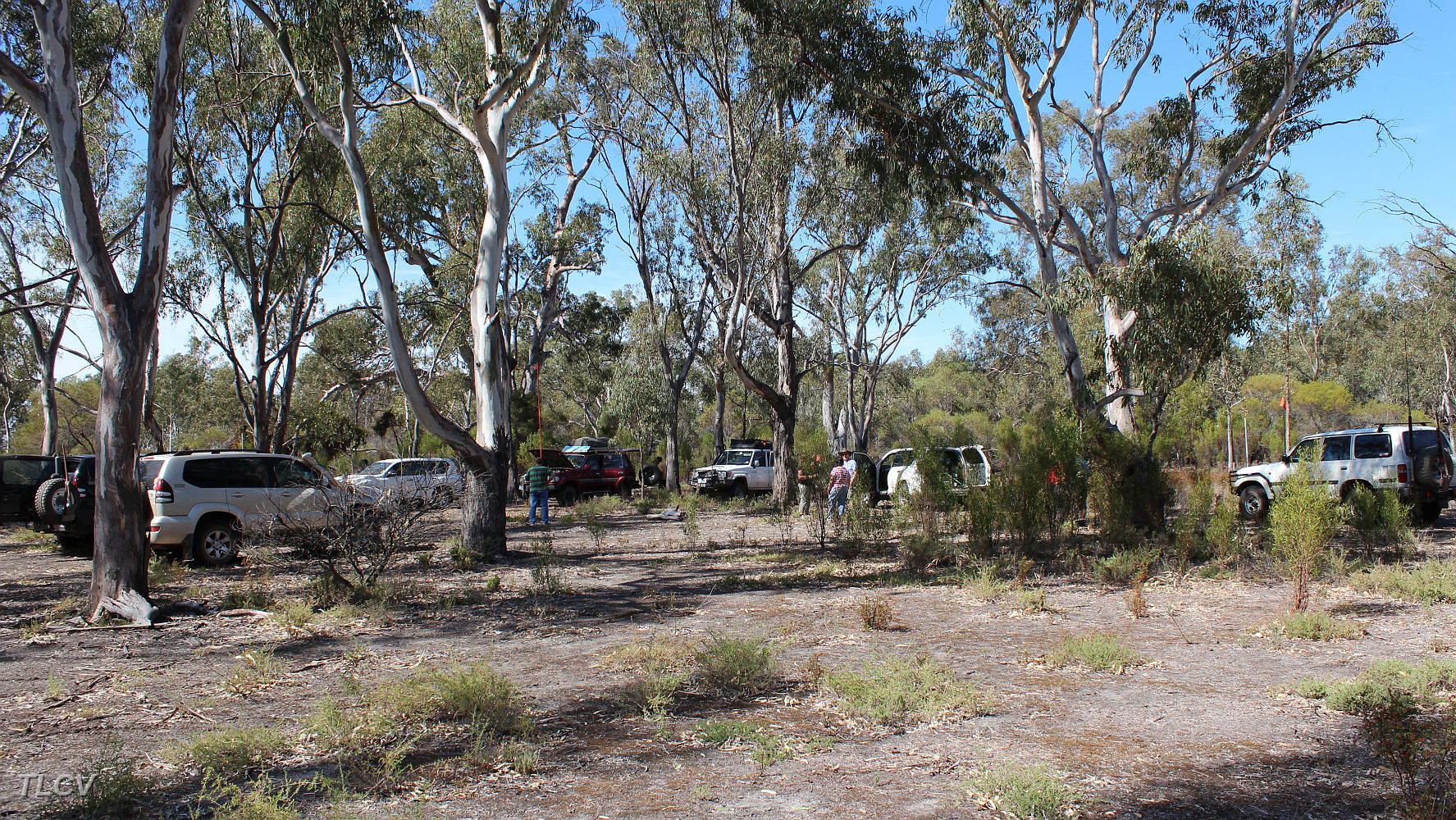 01-Morning Tea at Lake Albacutya.JPG
